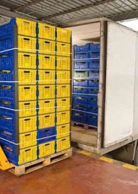 Dịch vụ bốc xếp hàng tươi sống
