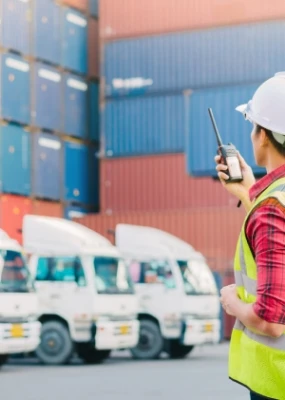 Dịch Vụ Khai Hải Quan Trọn Gói | Proslink Logistics