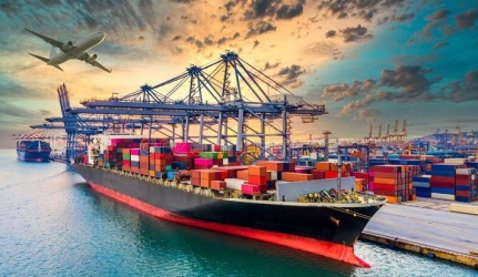 Vận chuyển hàng hóa bằng đường biển: Khi nào doanh nghiệp nên lựa chọn FCL hoặc LCL?