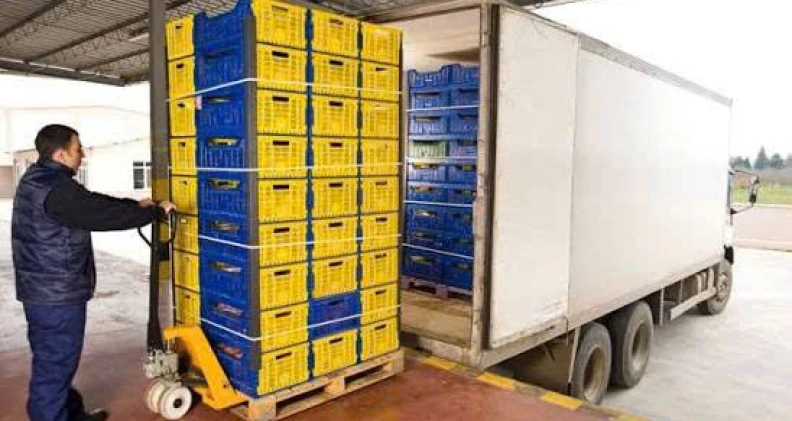 Dịch vụ bốc xếp hàng tươi sống