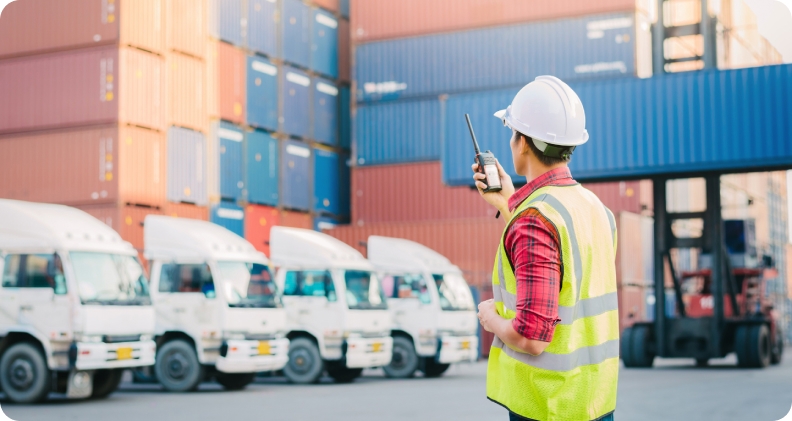 Dịch Vụ Khai Hải Quan Trọn Gói | Proslink Logistics