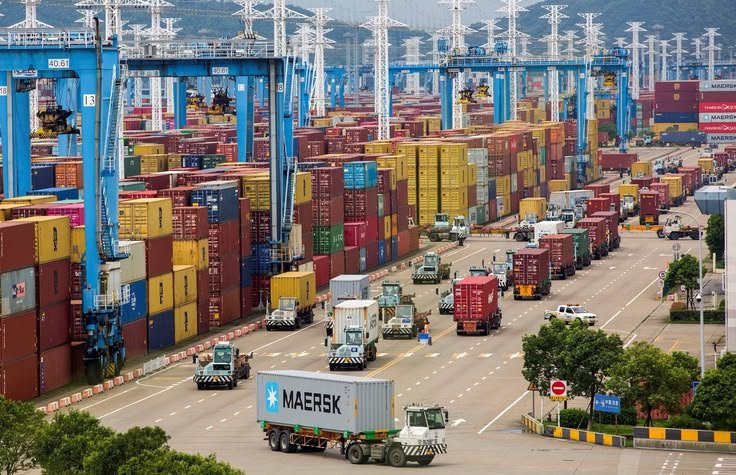 Cảng biển lớn với container và xe tải vận chuyển hàng hóa